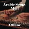 Arabic Songs Mp3 Offline