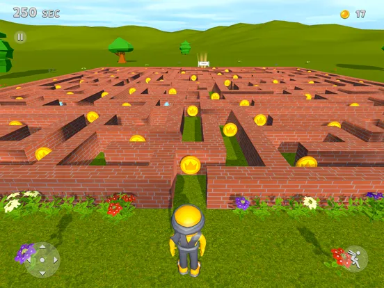Maze Runner 3D Game iPad 应用截图