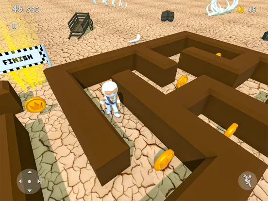 Maze Runner 3D Game iPad 应用截图