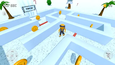 Maze Runner 3D Game应用截图