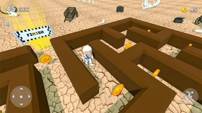 Maze Runner 3D Game应用截图
