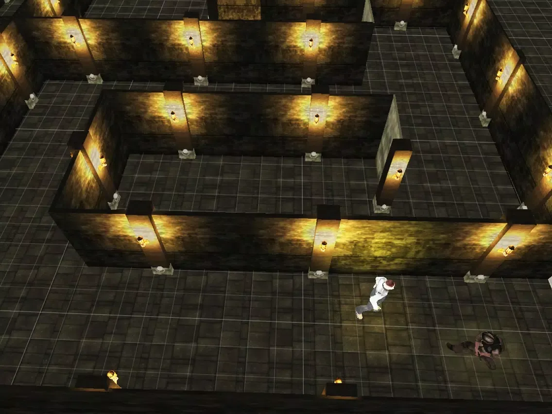 Ảnh chụp màn hình của Maze Runner King 2016 iPad 