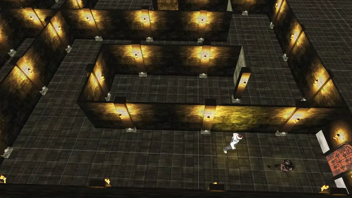 Ảnh chụp màn hình của Maze Runner King 2016