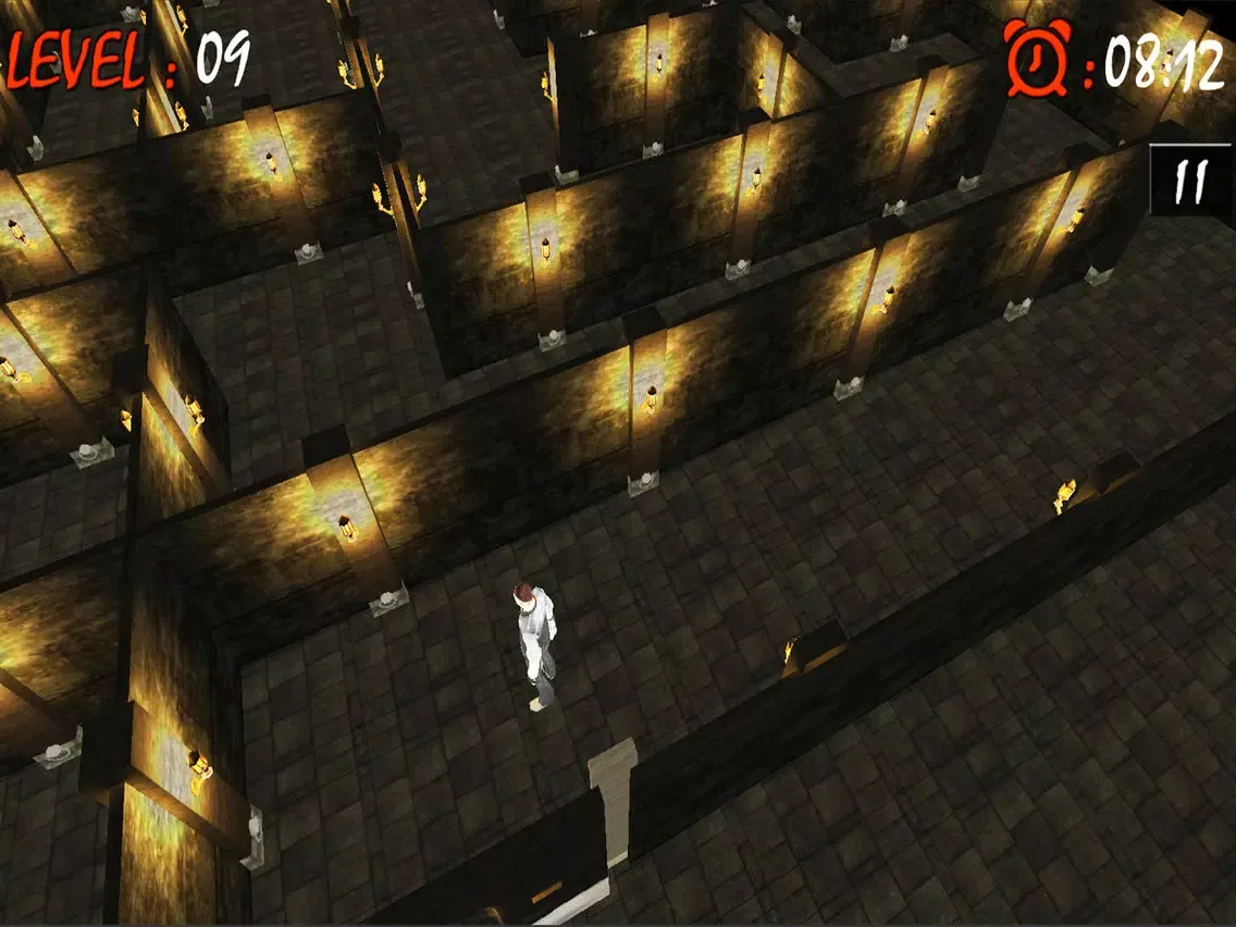 Maze Runner Labyrinth 3D : Free Maze Game iPad Screenshots
