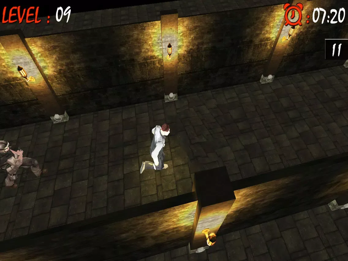 Maze Runner Labyrinth 3D : Free Maze Game iPad Screenshots