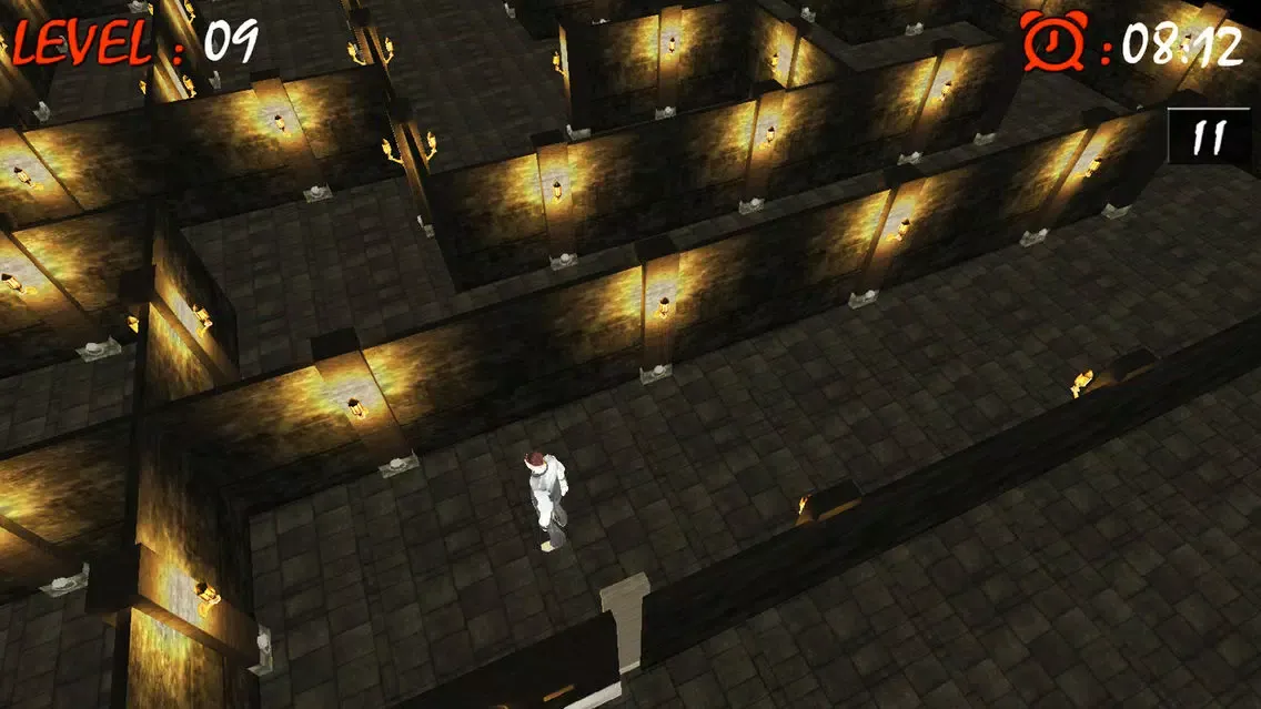 Maze Runner Labyrinth 3D : Free Maze Game Screenshots