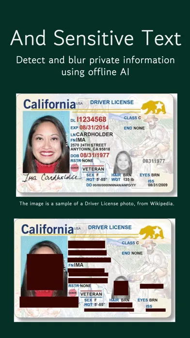 Blur ID - AI Auto Blur Faces Screenshots
