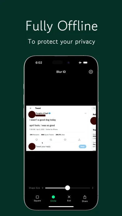 Blur ID - AI Auto Blur Faces Screenshots