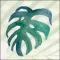 MOD Skin & Body Clinic