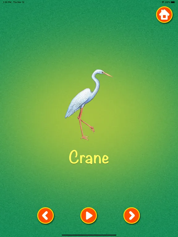 Zrzuty ekranu Learn about Birds iPad 
