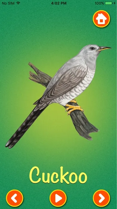Zrzuty ekranu Learn about Birds