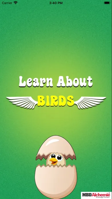 Zrzuty ekranu Learn about Birds