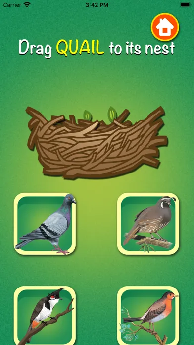 Zrzuty ekranu Learn about Birds