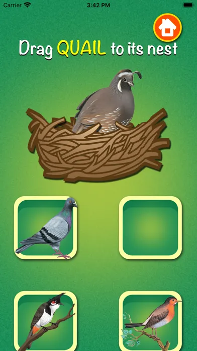 Zrzuty ekranu Learn about Birds
