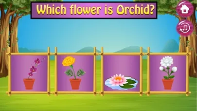 تصاویر Learn about Flowers