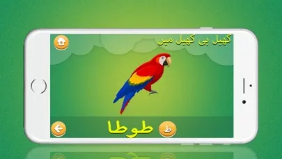 Скриншоты Learn Urdu Kids