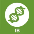 IB Biology SL and HL Key Terms Games