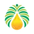 MBLion Oleo – Palm Oil Price MBLion Oleo – Palm Oil Price