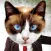 Animal Face - Cat stickers for your photos and more
