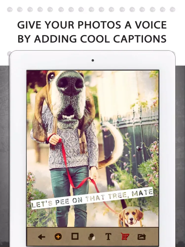 Animal Face Pro - Cat stickers for your photos and more iPad  سکرین شاٹس