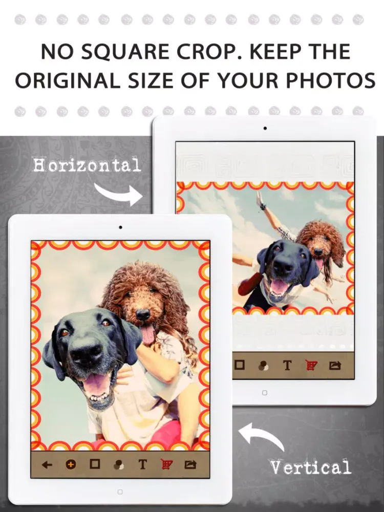 Animal Face Pro - Cat stickers for your photos and more iPad  سکرین شاٹس
