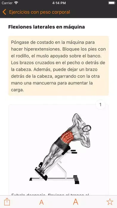 Ảnh chụp màn hình của Ejercicios en el gimnasio