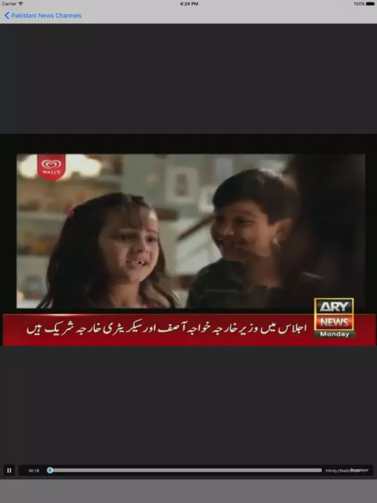 Pakistani News Channels iPad 应用截图