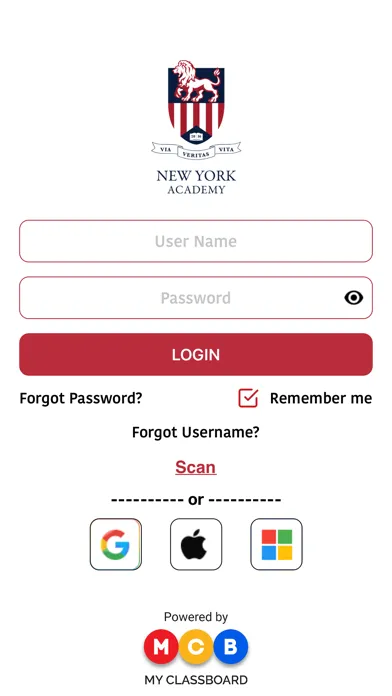 Capturas de pantalla de New York Academy