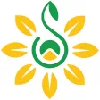 Saiwai