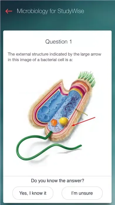 StudyWise Microbiology سکرین شاٹس