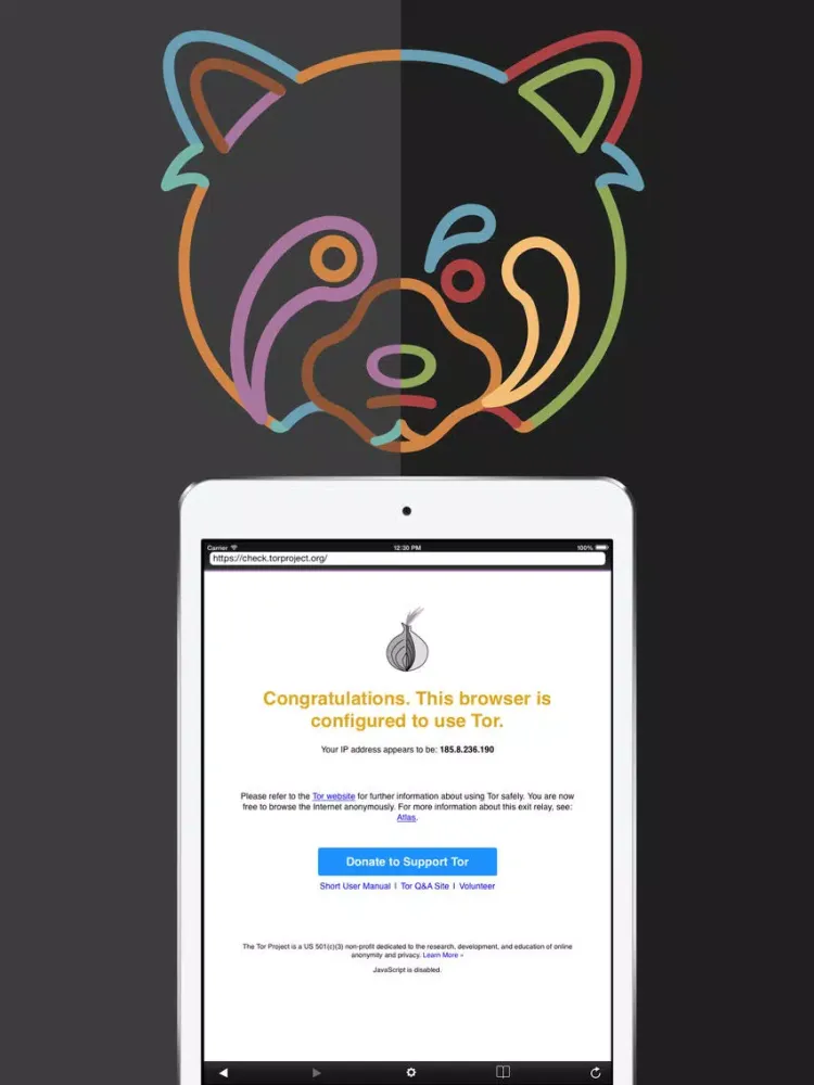 Ảnh chụp màn hình của Raccoon - Anonymous Client for Onion Tor Browser iPad 