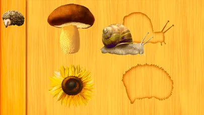 Amazing Shapes Puzzle for Kids应用截图