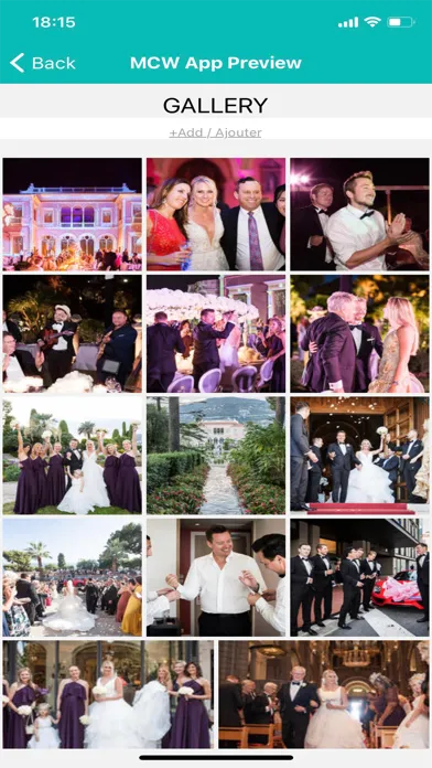 Monte-Carlo Weddings应用截图