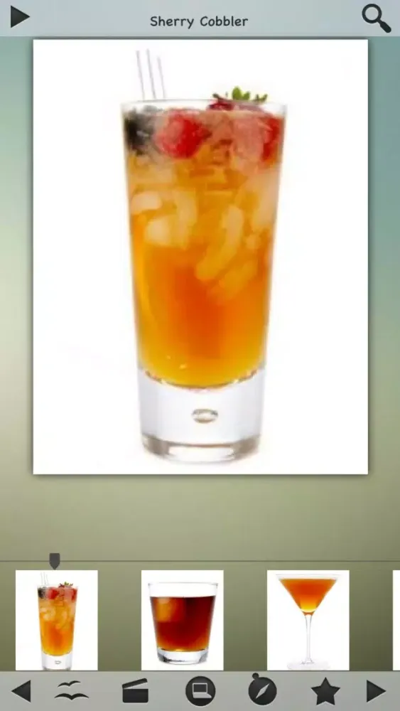 Cocktails Recipes Pro Ekran Görüntüleri