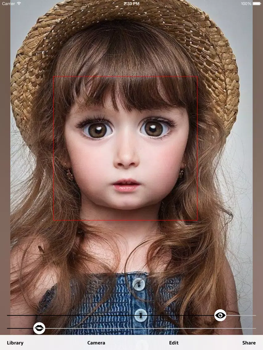Big Eyes iPad 应用截图
