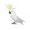 Fun Animals Stickers!