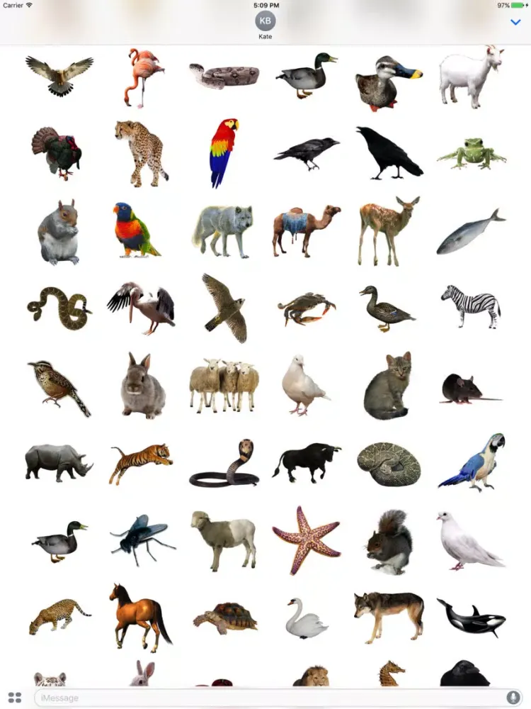 تصاویر Fun Animals Stickers! iPad 