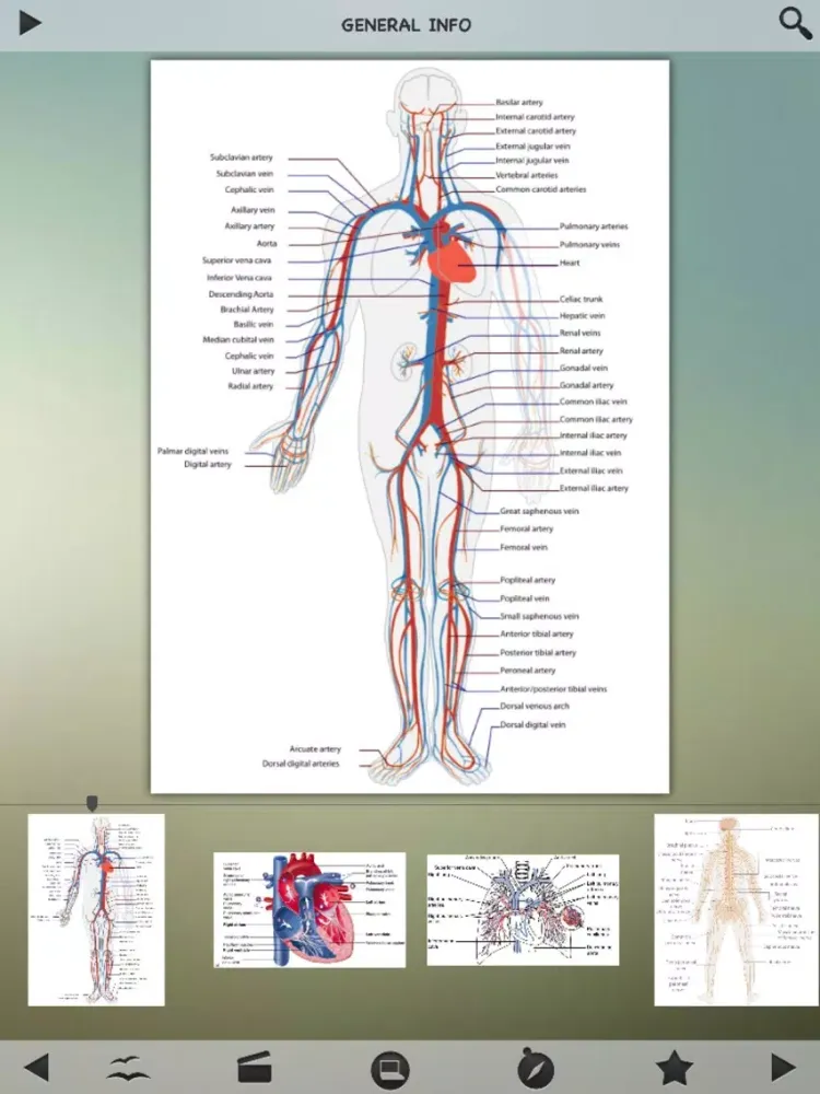 Human Body Details iPad  स्क्रीनशॉट
