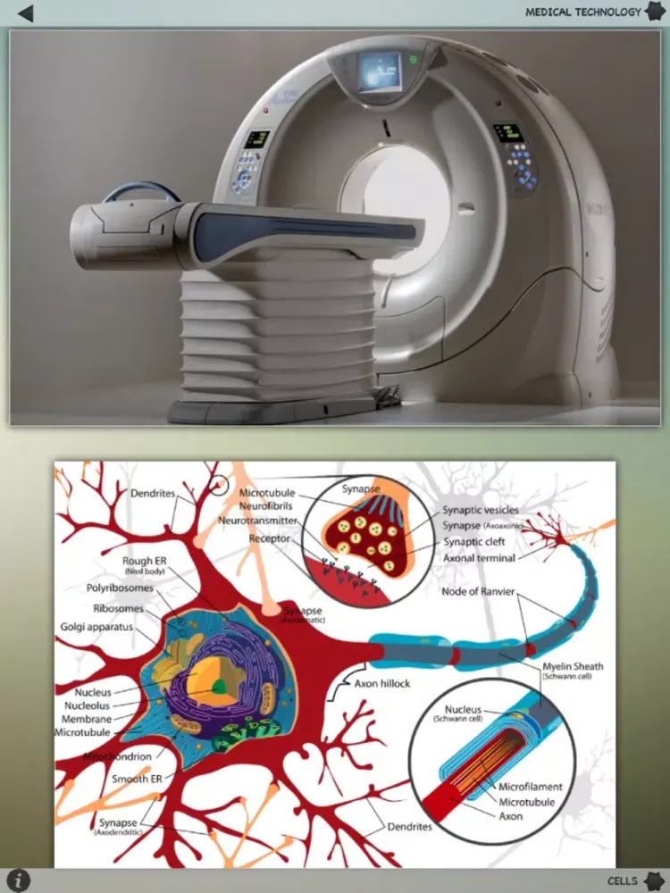Human Body Details iPad  स्क्रीनशॉट