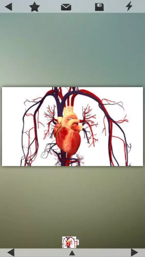 Human Body Details स्क्रीनशॉट