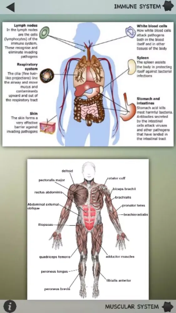 Human Body Details स्क्रीनशॉट