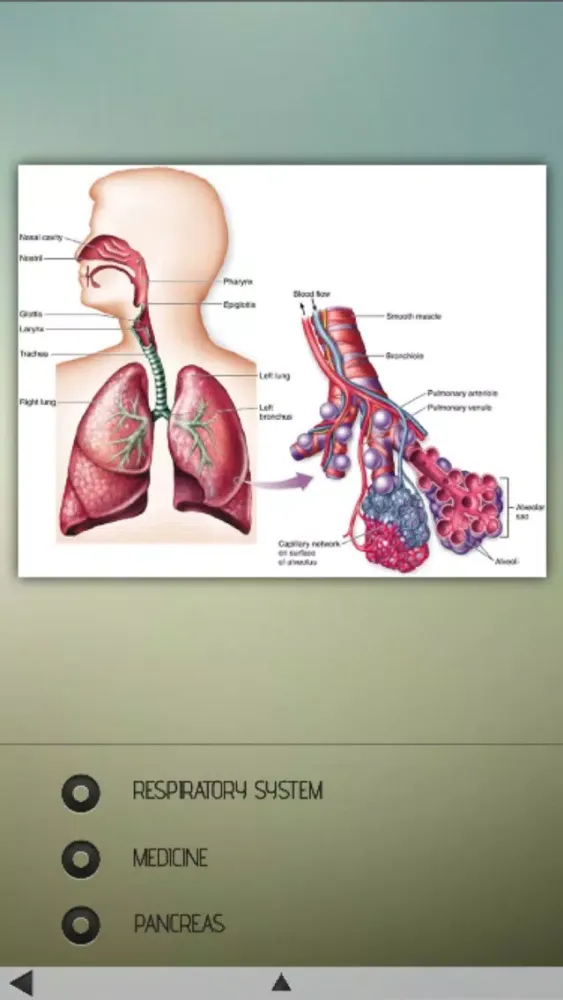 Human Body Details स्क्रीनशॉट