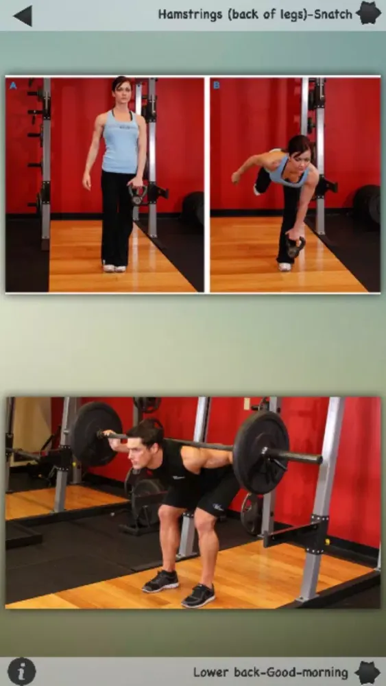 Tangkapan layar Bodybuilding Exercises Database