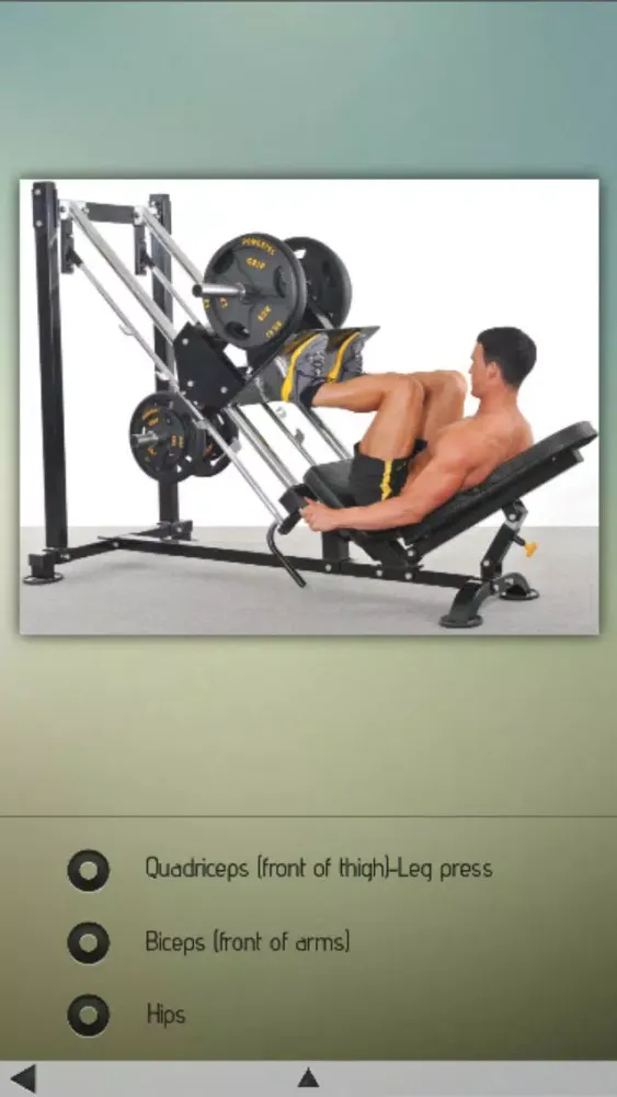 Tangkapan layar Bodybuilding Exercises Database