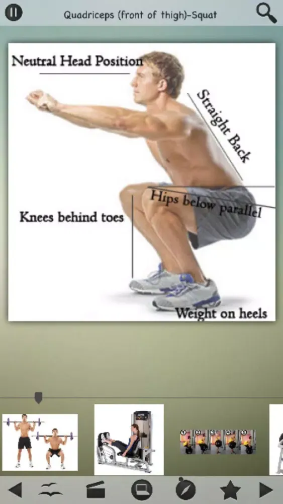 Tangkapan layar Bodybuilding Exercises Database