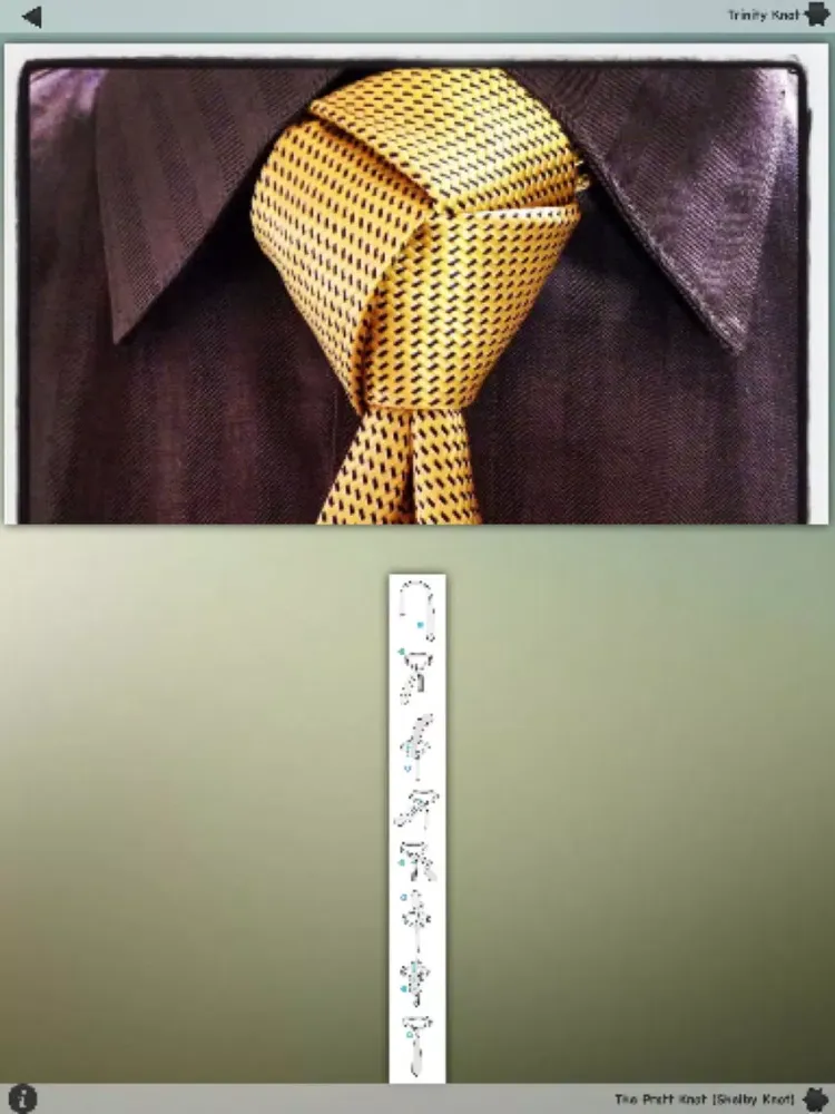 تصاویر How To Tie a Tie Info iPad 