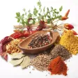 Culinary Herbs and Spices Guide