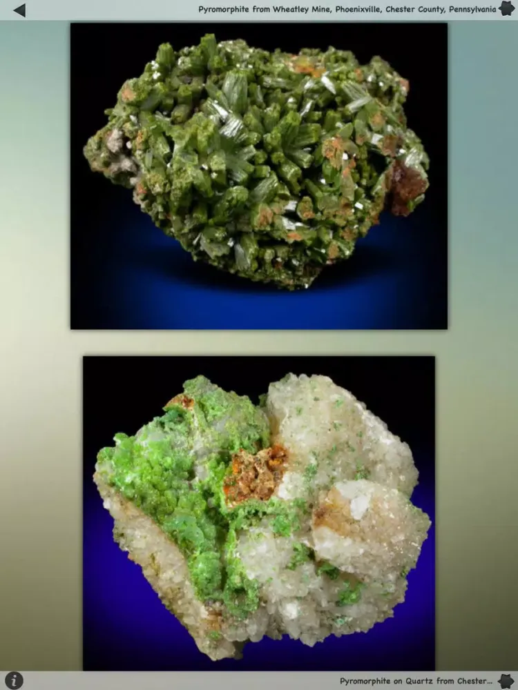 Ảnh chụp màn hình của Rocks & Minerals iPad 
