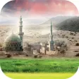 الحياة البرية في المدينة