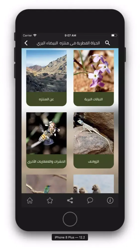 Captures d'écran de الحياة البرية في المدينة